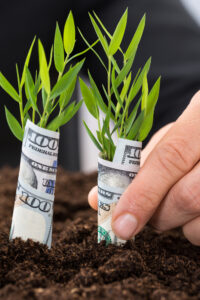 Growing your money